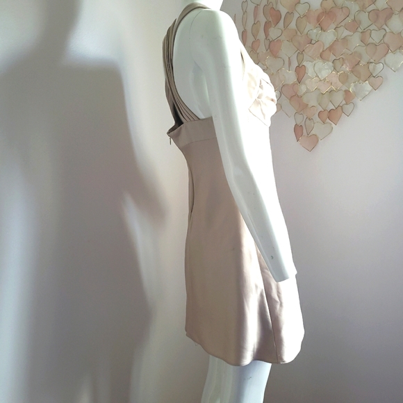 Calvin Klein Strapped Dress - Picture 4 of 6